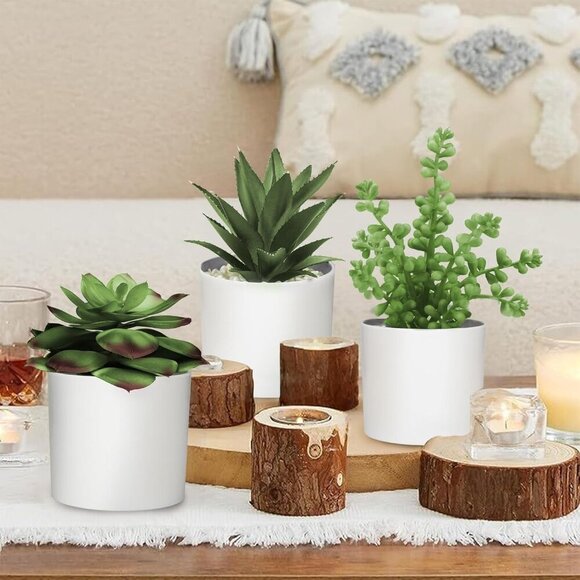 Succulent Plants Artificial in White Pots Small Faux Potted Succulents Fake Plan - Picture 8 of 9
